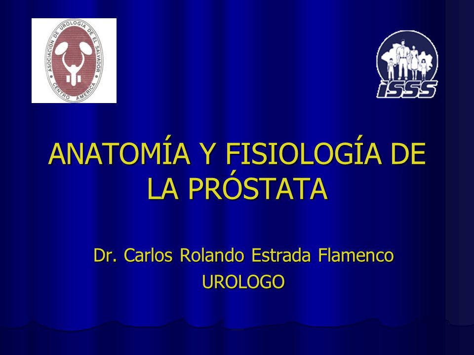 prostata fisiologia pdf